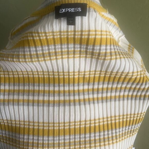 Express Mustard and White Striped Sweater - Picture 4 of 5